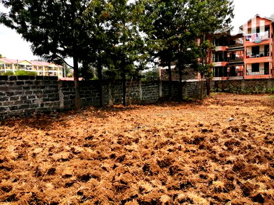 1/4 Acre Plot With 2 Houses in Kiamunyi for Sale - Image 3