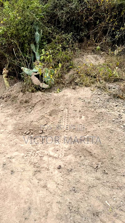 84 Acres for Sale in Kinanie Machakos County - Image 2