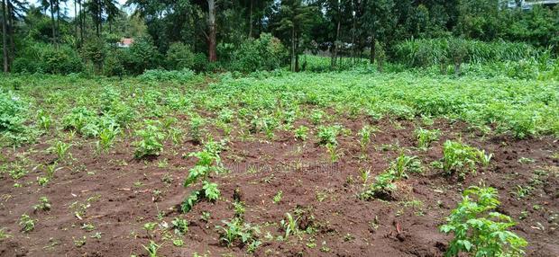 Prime 100 By100 Residential Plot for Sale in Kikuyu,Muguga