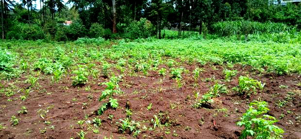 Prime 100 By100 Residential Plot for Sale in Kikuyu,Muguga