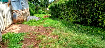 Prime 100 By100 Residential Plot for Sale in Kikuyu,Muguga - Image 6