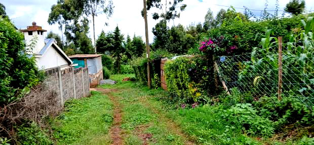 Prime 100 By100 Residential Plot for Sale in Kikuyu,Muguga