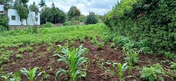 Prime 100 By100 Residential Plot for Sale in Kikuyu,Muguga