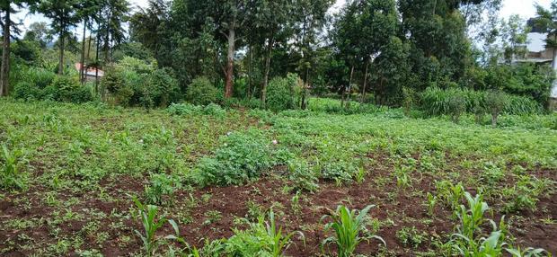 Prime 100 By100 Residential Plot for Sale in Kikuyu,Muguga