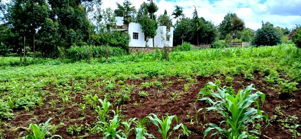 Prime 100 By100 Residential Plot for Sale in Kikuyu,Muguga
