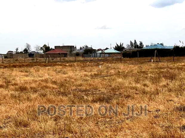 Ready to Settle Plots.