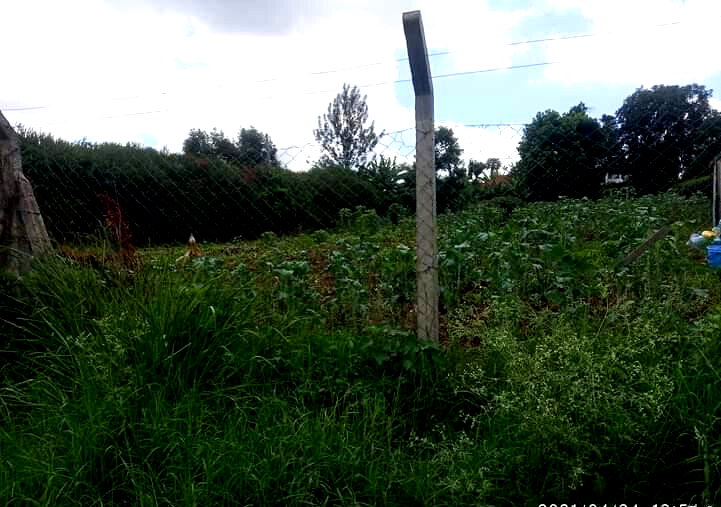 Muthaiga's Best Kept Secret at KSh 40M