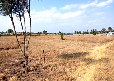 1/8 Acre Gated Plot at KSh 1.8M