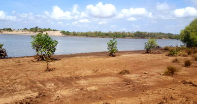 19-Acre Land with River Access - Malindi