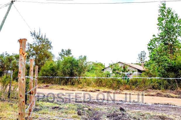 50 by 100 Plots at Ruby Gardens Juja Farm