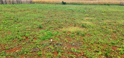 Prime 1/4 Plot for Sale in Chepkanga Willow Tree in Eldoret - Image 5