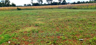 Prime 1/4 Plot for Sale in Chepkanga Willow Tree in Eldoret - Image 2