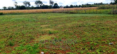 Prime 1/4 Plot for Sale in Chepkanga Willow Tree in Eldoret - Image 1