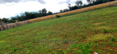 Prime 1/4 Plot for Sale in Chepkanga Willow Tree in Eldoret - Image 4