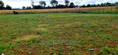 Prime 1/4 Plot for Sale in Chepkanga Willow Tree in Eldoret - Image 3