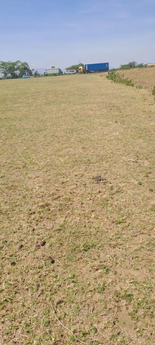 A Very Nice 100 by 100 Plot for Sale Along Mai Mahiu