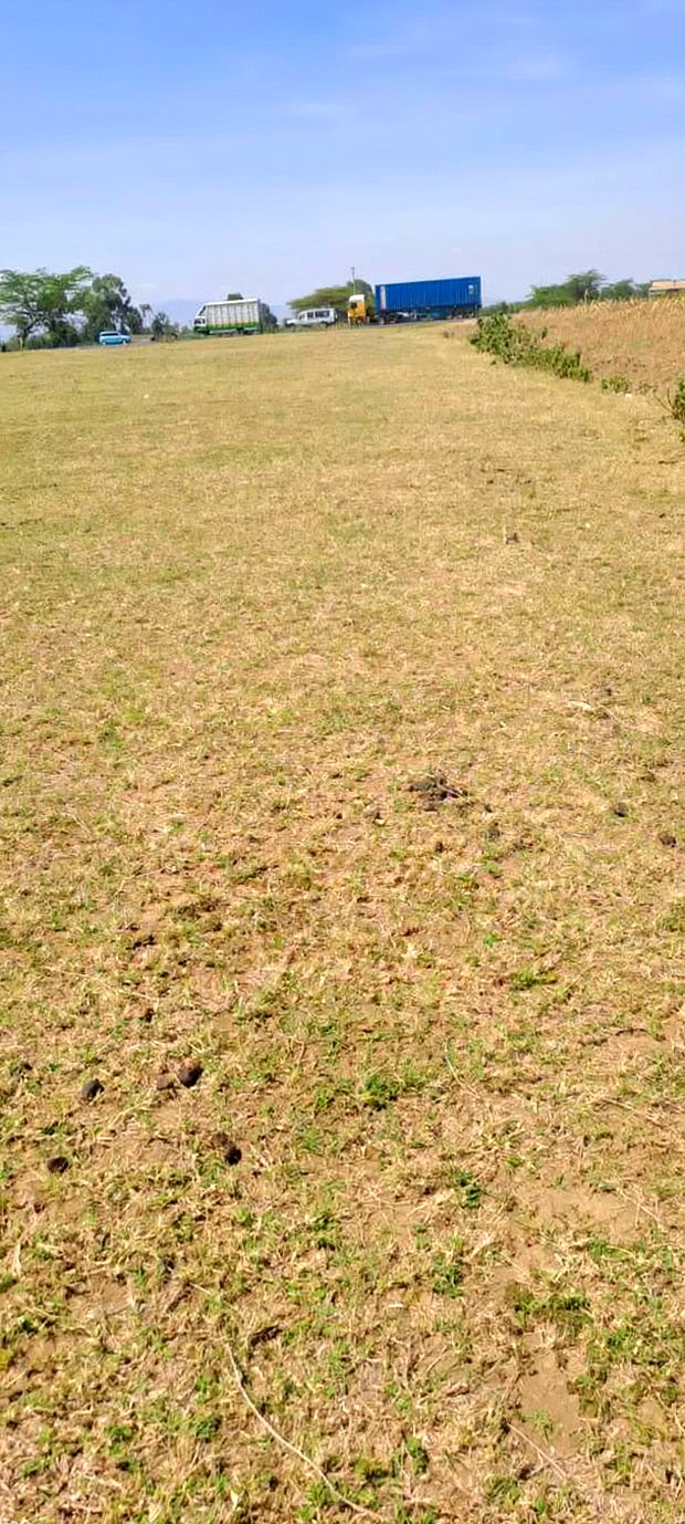 A Very Nice 100 by 100 Plot for Sale Along Mai Mahiu