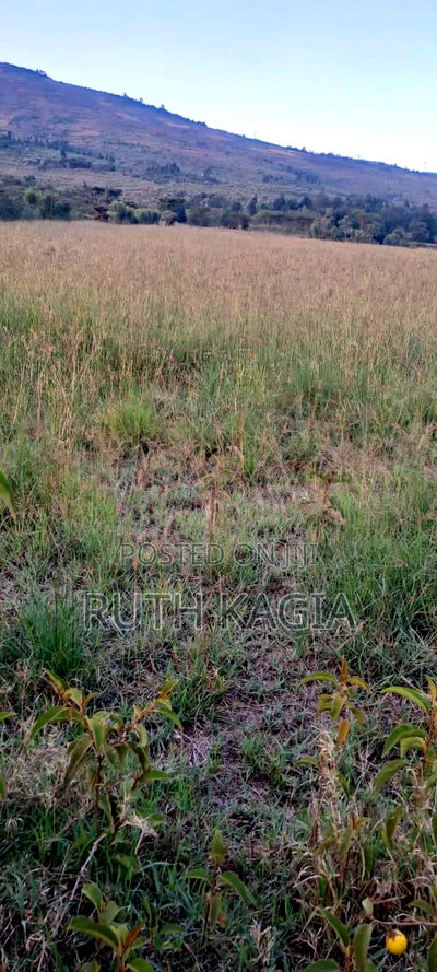 A Very Nice 100 by 100 Plot for Sale Along Mai Mahiu - Image 1