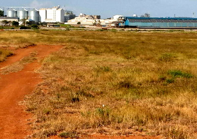 1-Acre Industrial Land with Garden in Thika