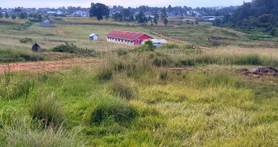 Quarter Acre Garden Plot in Eldoret
