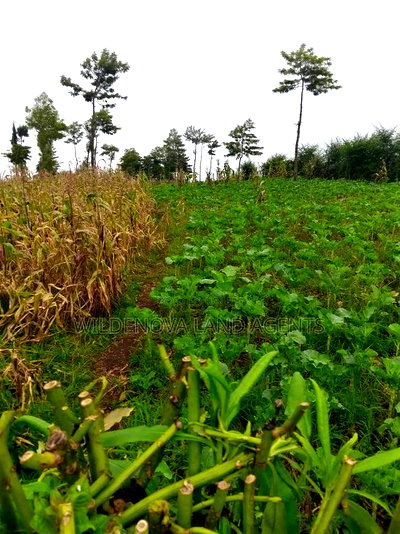 1 Acre + of Land on Sale at Flyover Magumu Kinangop - Image 1