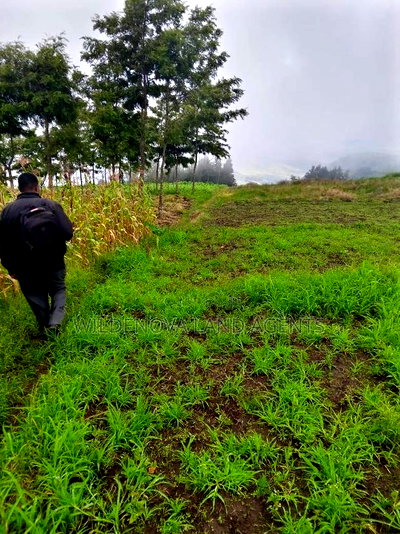 1 Acre + of Land on Sale at Flyover Magumu Kinangop - Image 2