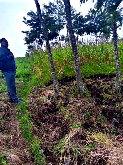 1 Acre + of Land on Sale at Flyover Magumu Kinangop - Image 3