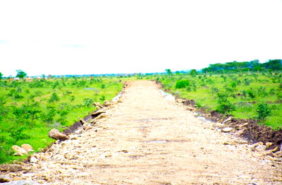 50x100 Plot with Garden at KSh 429K