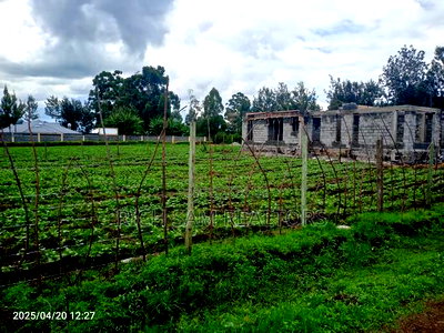 Land on Sale - Image 6