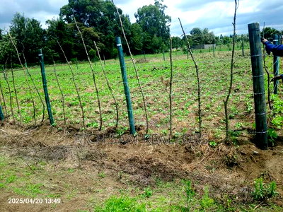 Land on Sale - Image 1