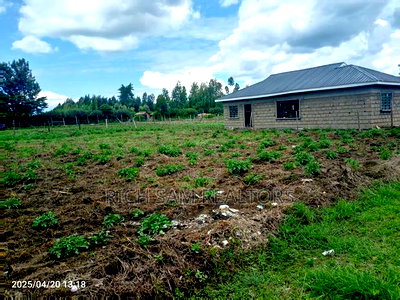 Land on Sale - Image 3