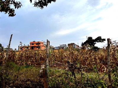Prime 50x100ft in Gikambura Jambu Tv Road - Image 8