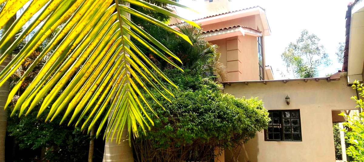 4-Ensuite Townhouse with Fireplace & DSQ – Karen Masai Road