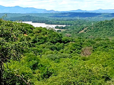 300 Acres for Sale - Image 2