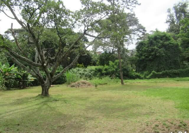 1.25-Acre Riverside Plot for KSh 430M