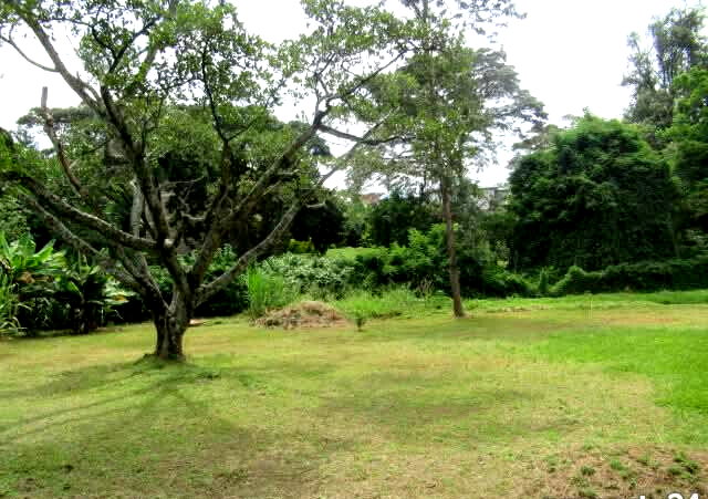 1.25-Acre Riverside Plot for KSh 430M