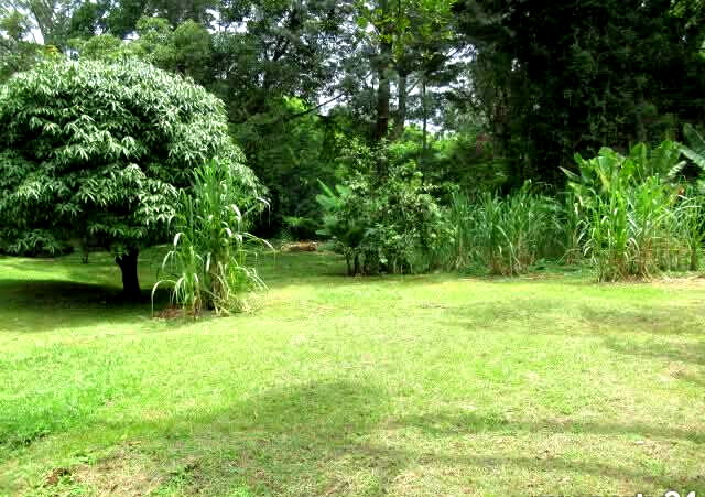 1.25-Acre Riverside Plot for KSh 430M