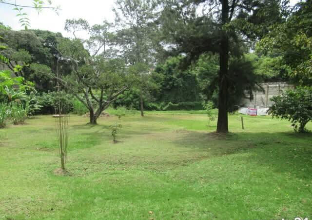 1.25-Acre Riverside Plot for KSh 430M