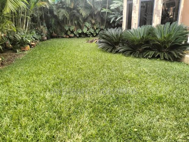 5bdrm House in Kyuna Estate for rent