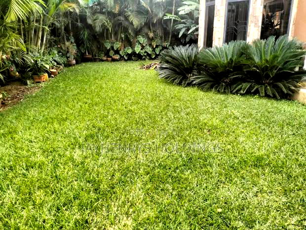 5bdrm House in Kyuna Estate for rent