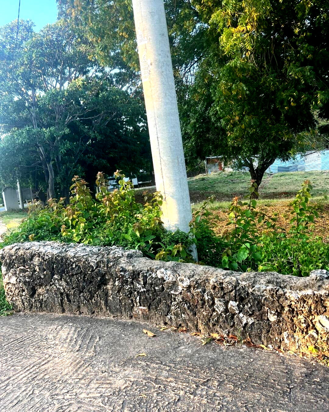 Quarter Acre Plot in Malindi