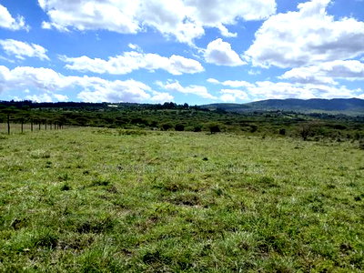 Prime 10 Acres For Sale Off Magadi Road Kiserian - Image 3