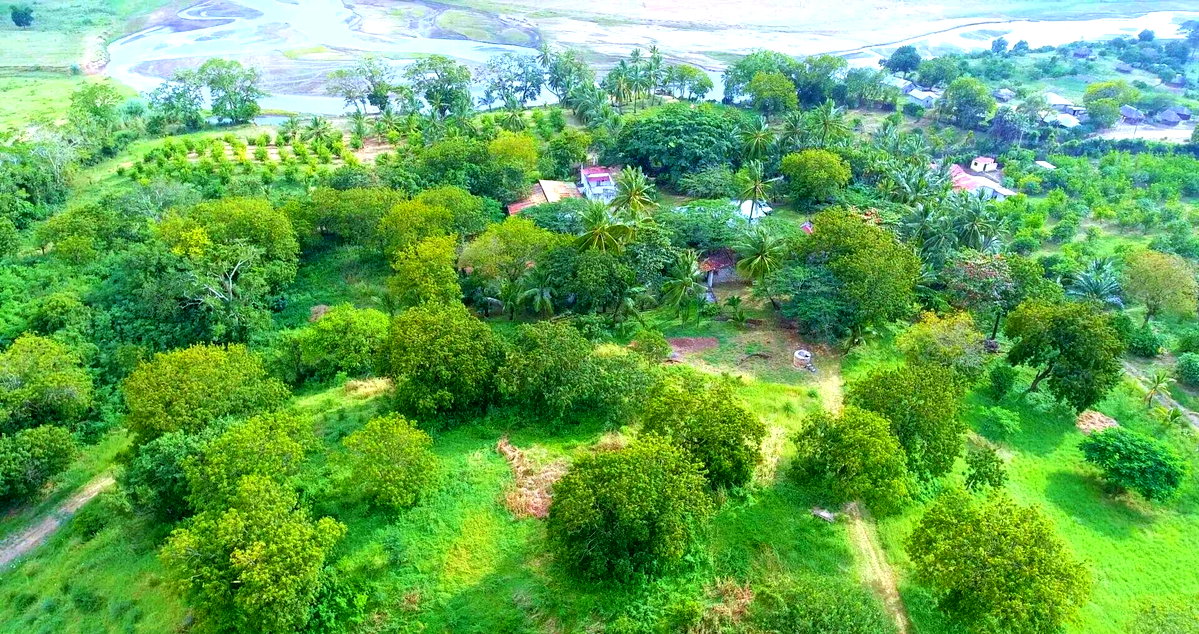 5-Acre Pet Friendly Plot in Malindi