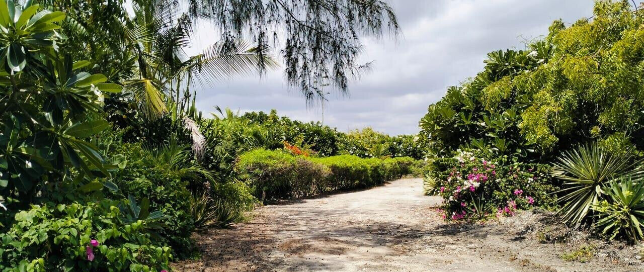 4-Bedroom Beachfront Townhouse on 4 Acres – Watamu