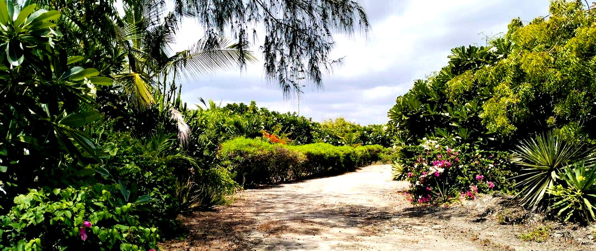 4-Bedroom Beachfront Townhouse on 4 Acres – Watamu