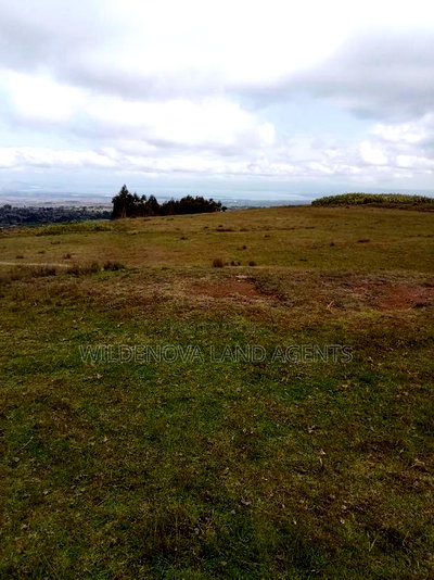 2 Acres of Land Sale at Kenyatta Road - Image 6