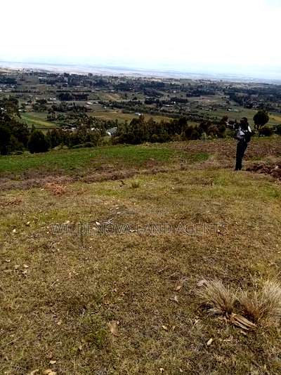 2 Acres of Land Sale at Kenyatta Road - Image 1