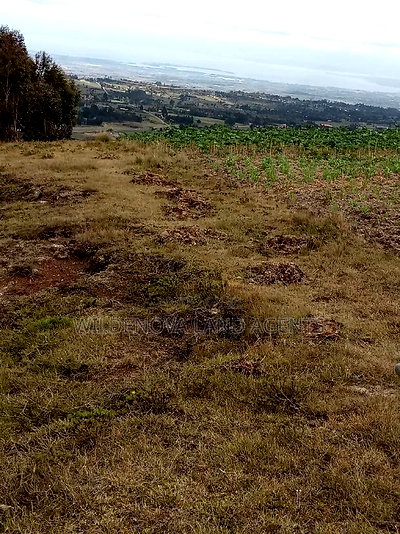 2 Acres of Land Sale at Kenyatta Road - Image 3