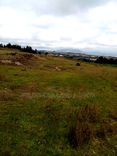 2 Acres of Land Sale at Kenyatta Road - Image 7