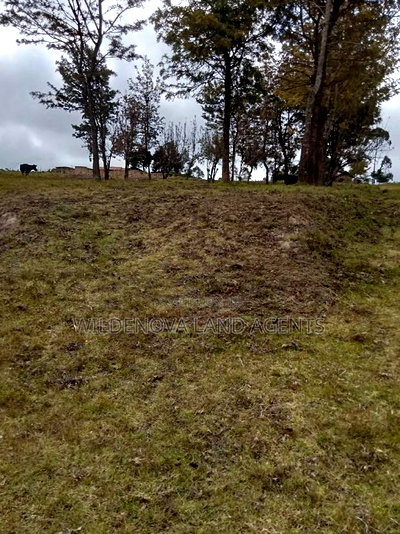 2 Acres of Land Sale at Kenyatta Road - Image 10